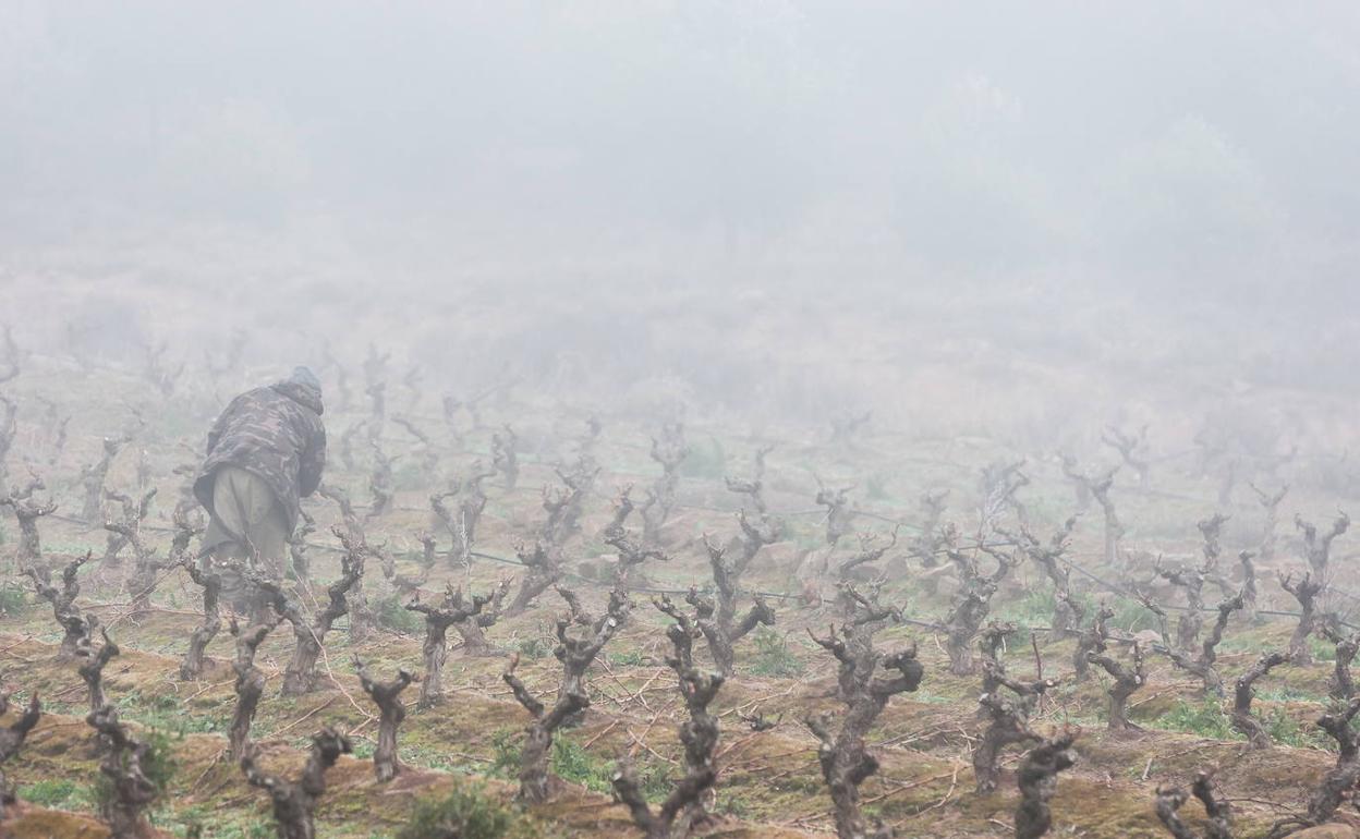 La Rioja Vuelve A Entrar En Aviso Amarillo Por Nieblas La Rioja